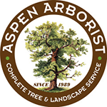 Aspen Arborist