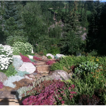 Aspen Landscaping